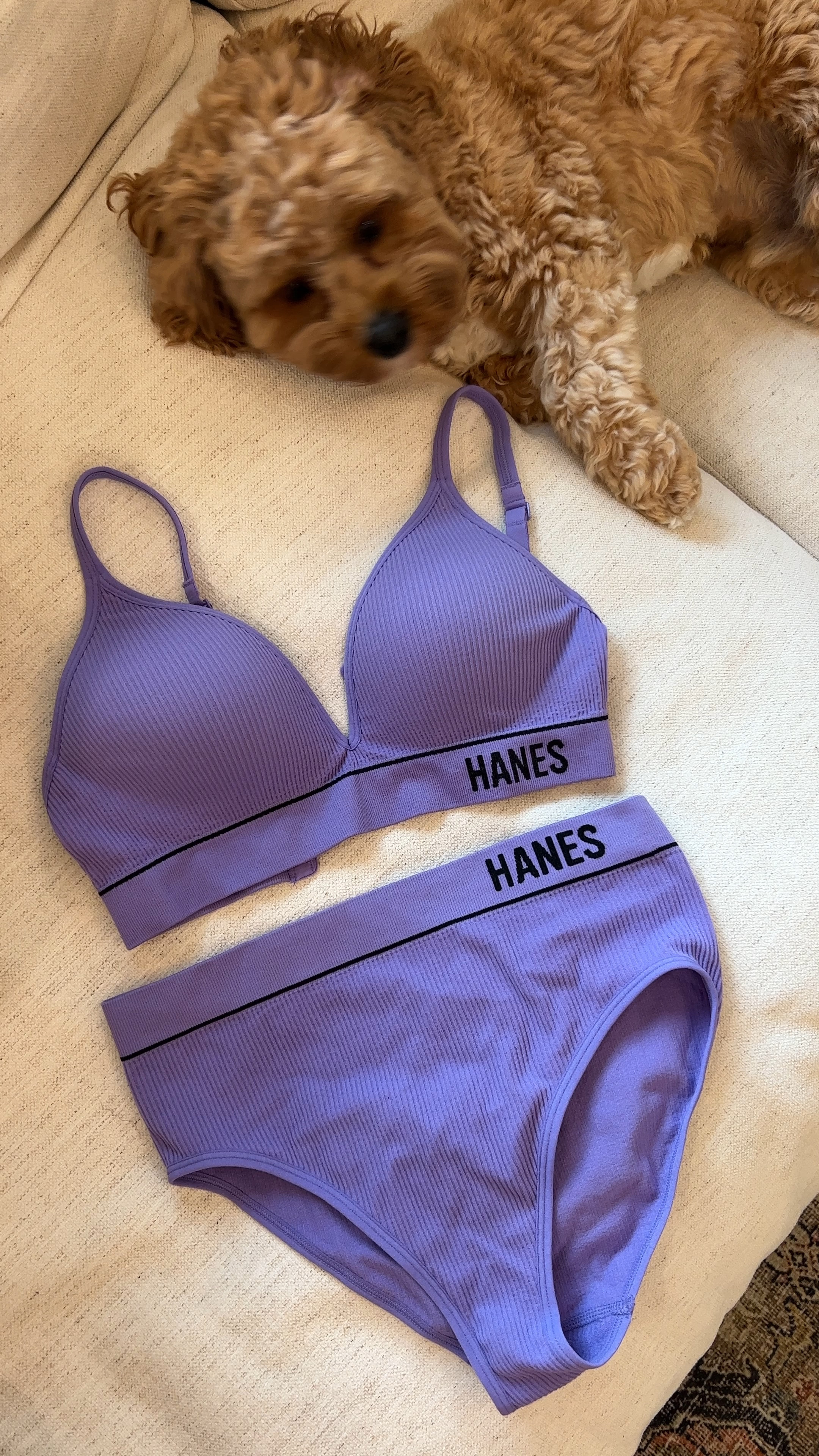 Hanes Originals Women's Contour … curated on LTK