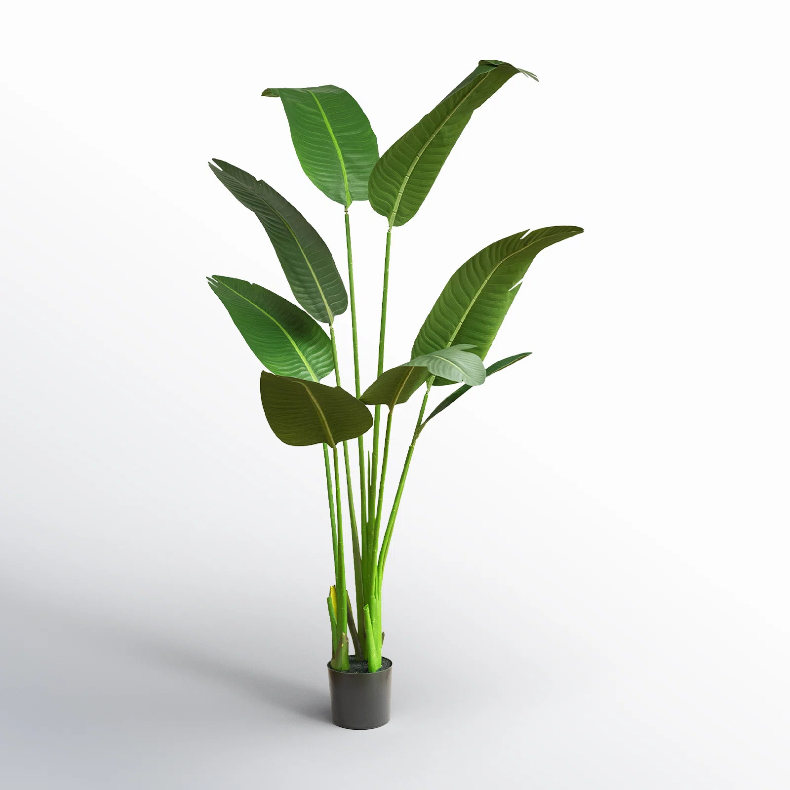 Faux Banana Leaf Plant in Pot | Joss & Main