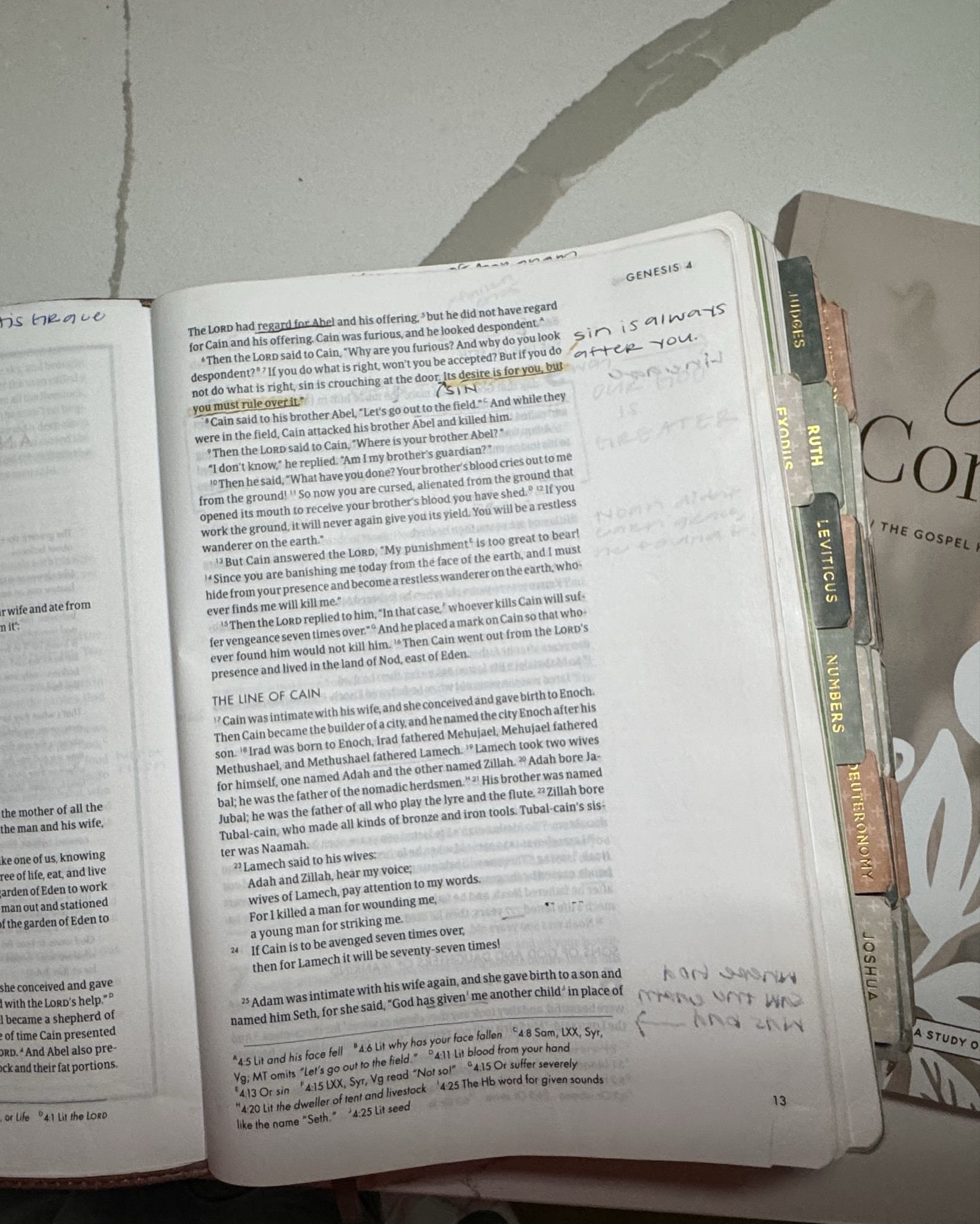  Bible + Bible study mornings 📖

#LTKHome #LTKFamily #LTKU