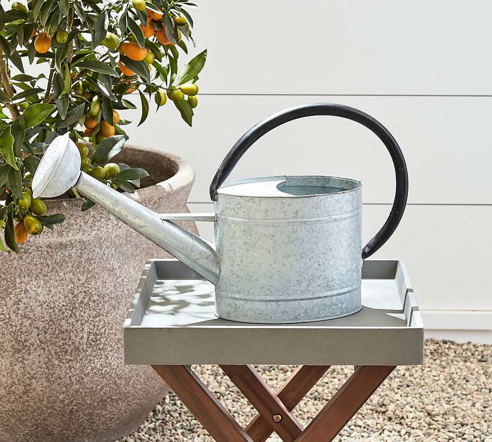 Aged Zinc Watering Cans | Pottery Barn (US)