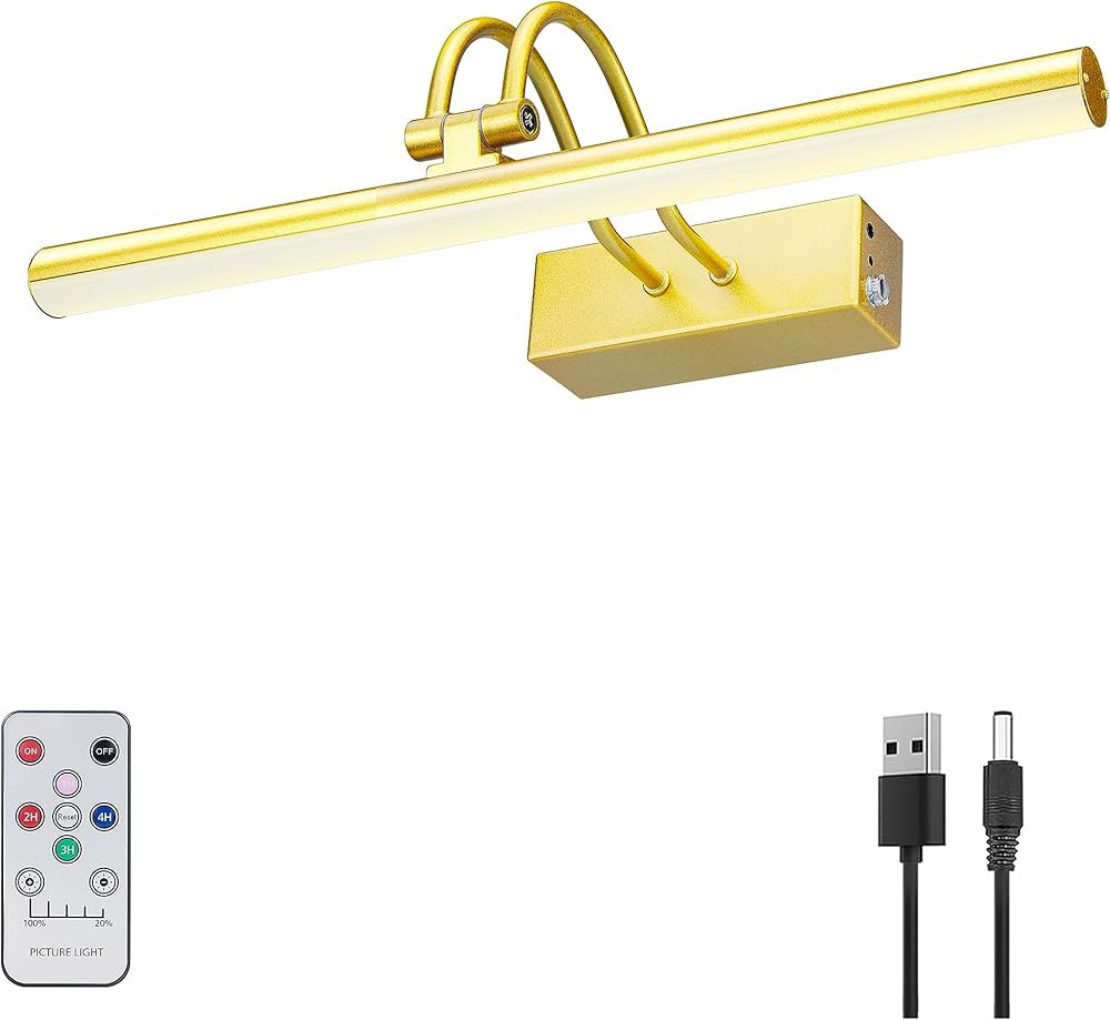 Picture Light, 13in Battery Operated Picture Lights for Paintings,Metal Remote Display Art Light ... | Amazon (US)