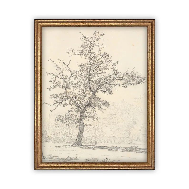 Vintage Framed Canvas Art // Framed Vintage Print // Vintage Painting // Black White Tree Sketch ... | Etsy (US)