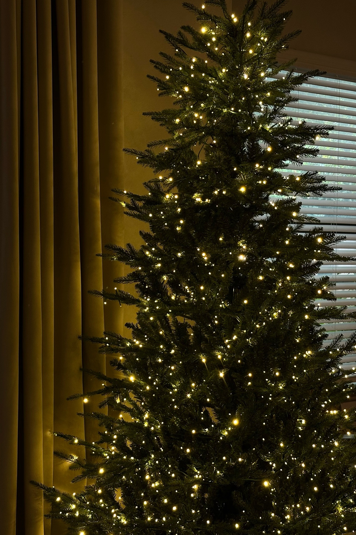 Phillips Twinkle Light Christmas Tree

#LTKSeasonal #LTKHome #LTKHoliday