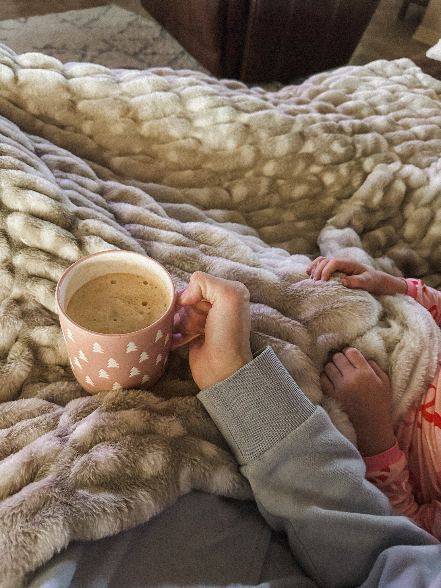 My new Lola blanket that I will forever be obsessed with — this Ivory Fawn print is my favorite!!

#LTKHome #LTKGiftGuide