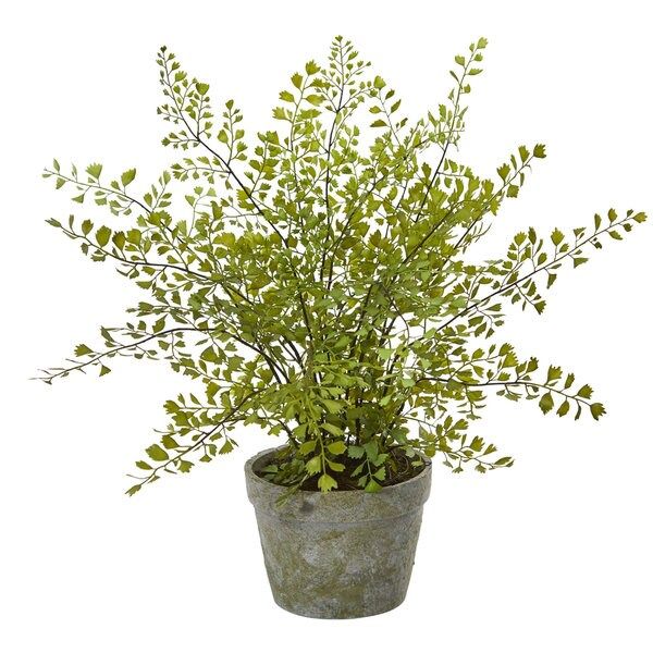 Maiden Hair Artificial Plant in Decorative Planter | Bed Bath & Beyond