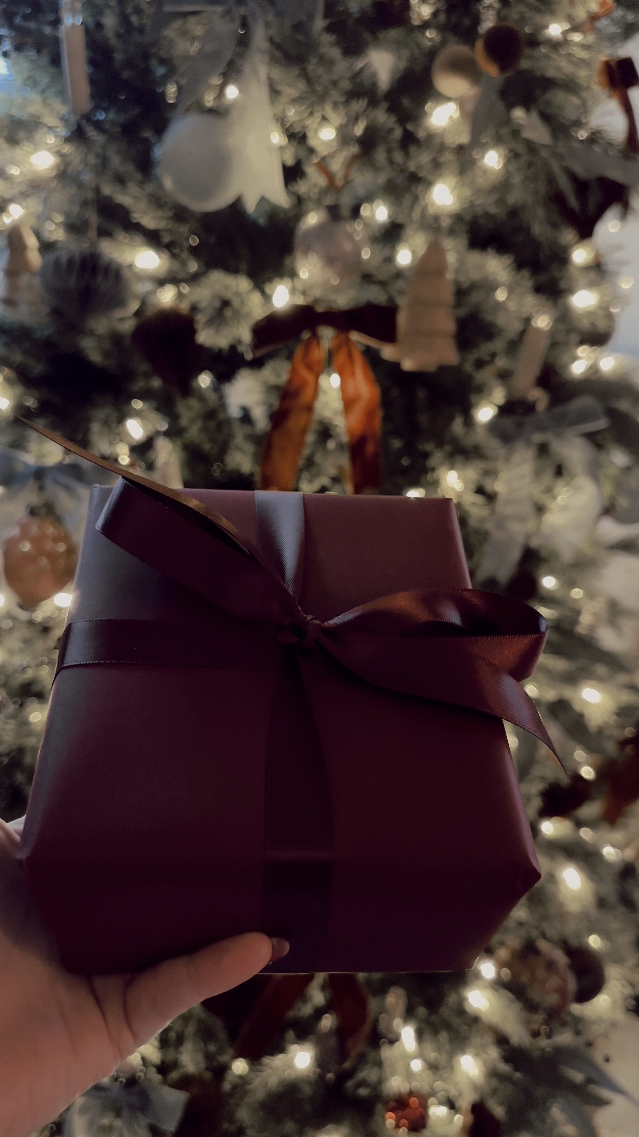 Gift Wrap Combo

#LTKHome #LTKSeasonal #LTKHoliday