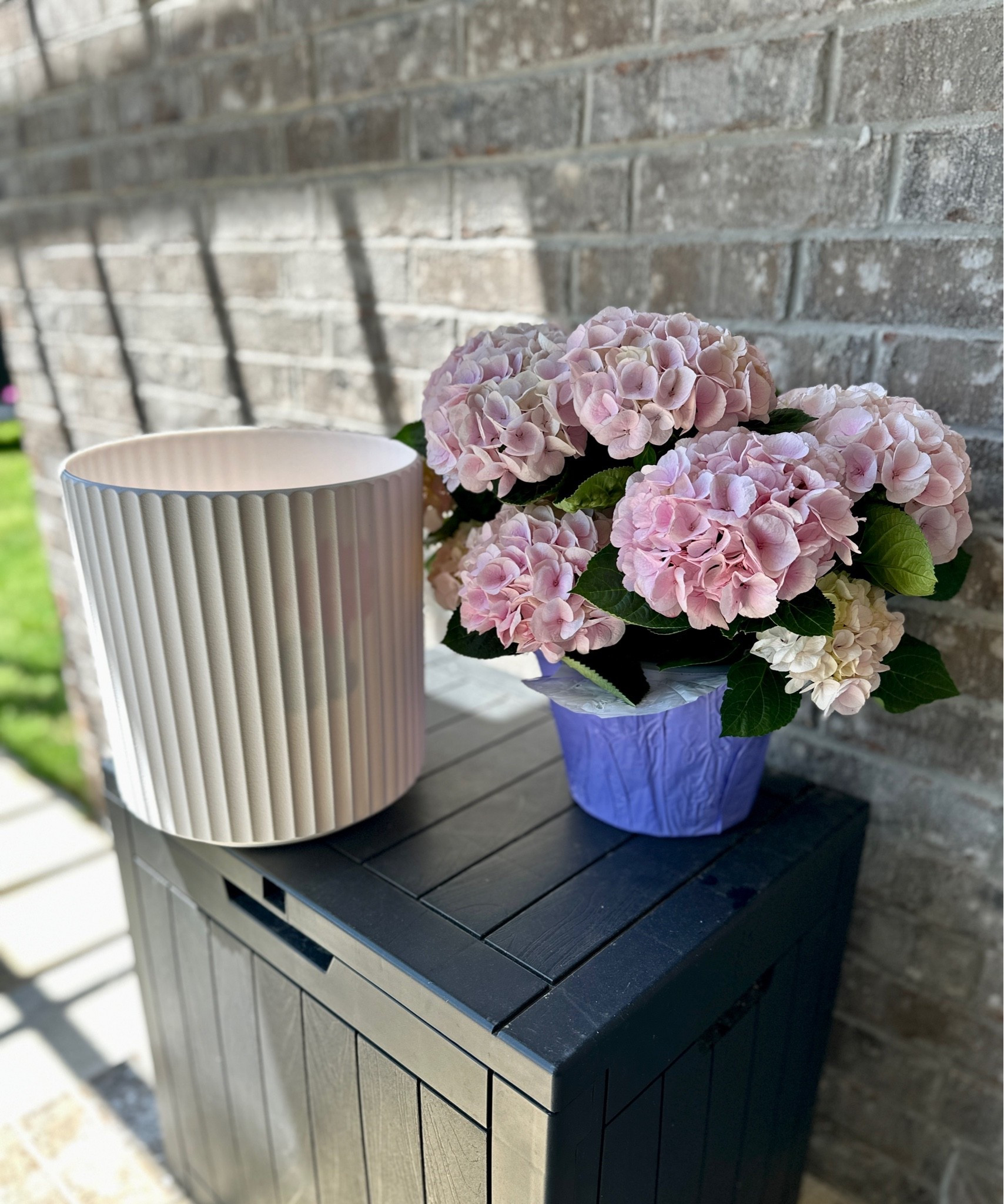 Easy affordable Mother’s Day gift!

#LTKMothersDay #LTKmomlife #LTKHome