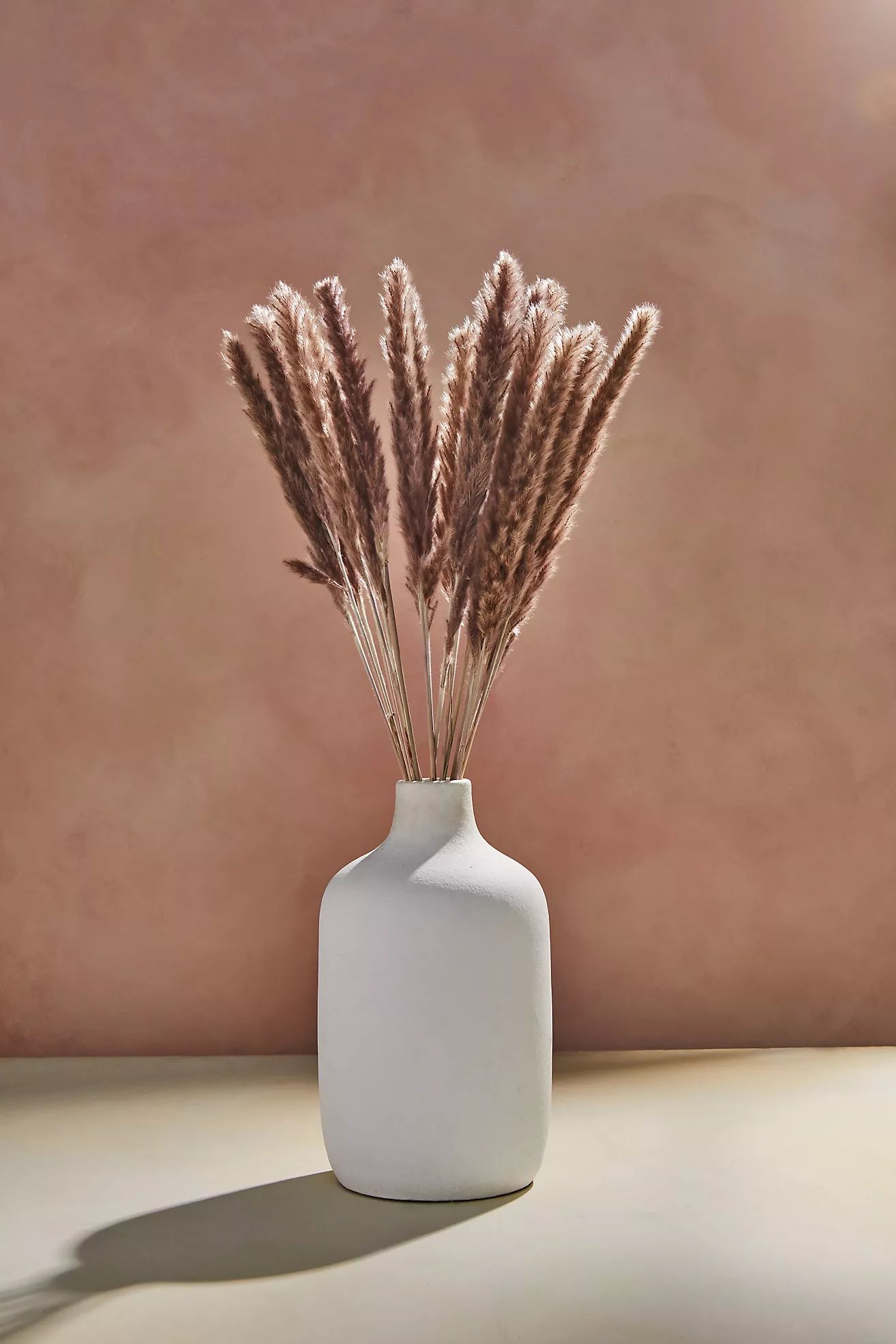 Preserved Fluffy Pampas Grass Bunch | Anthropologie (US)