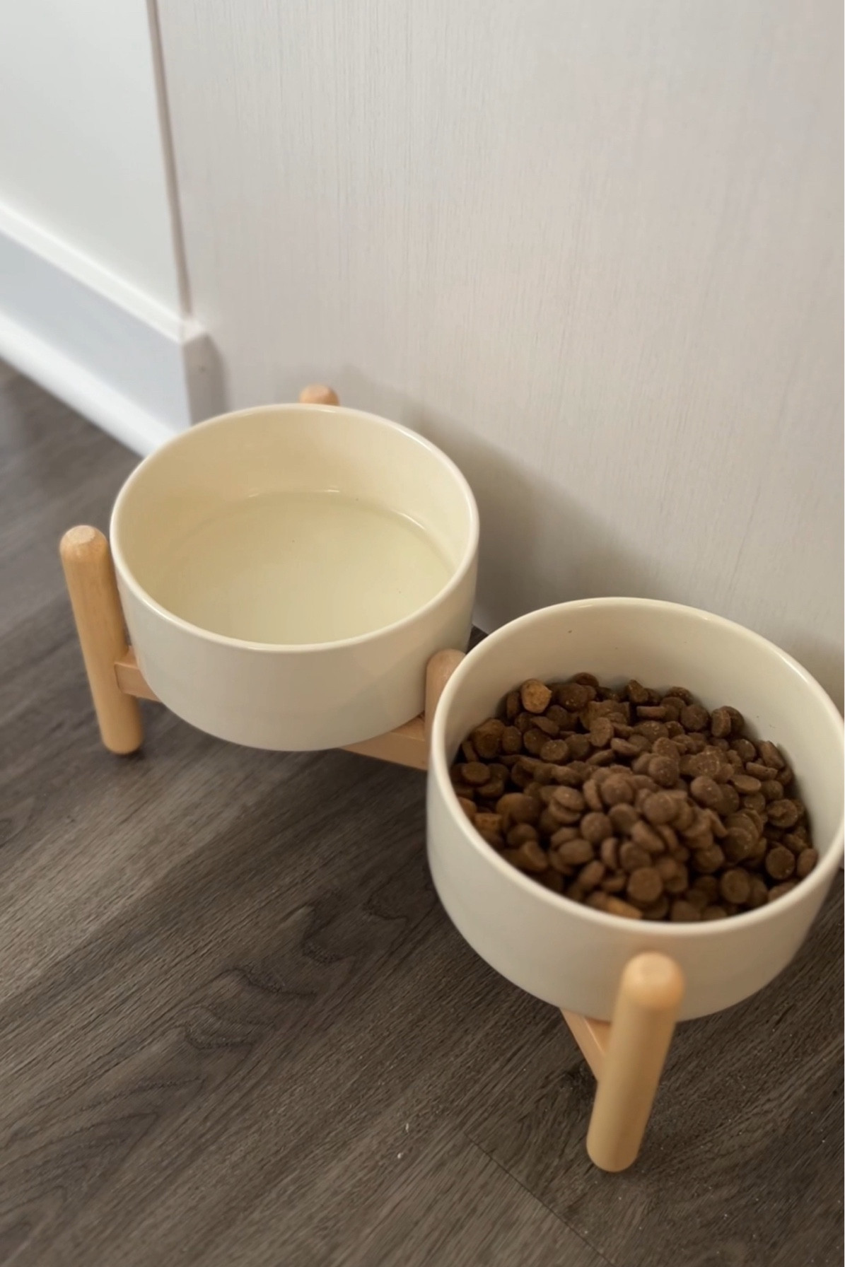 Dog bowl 🐶🐾