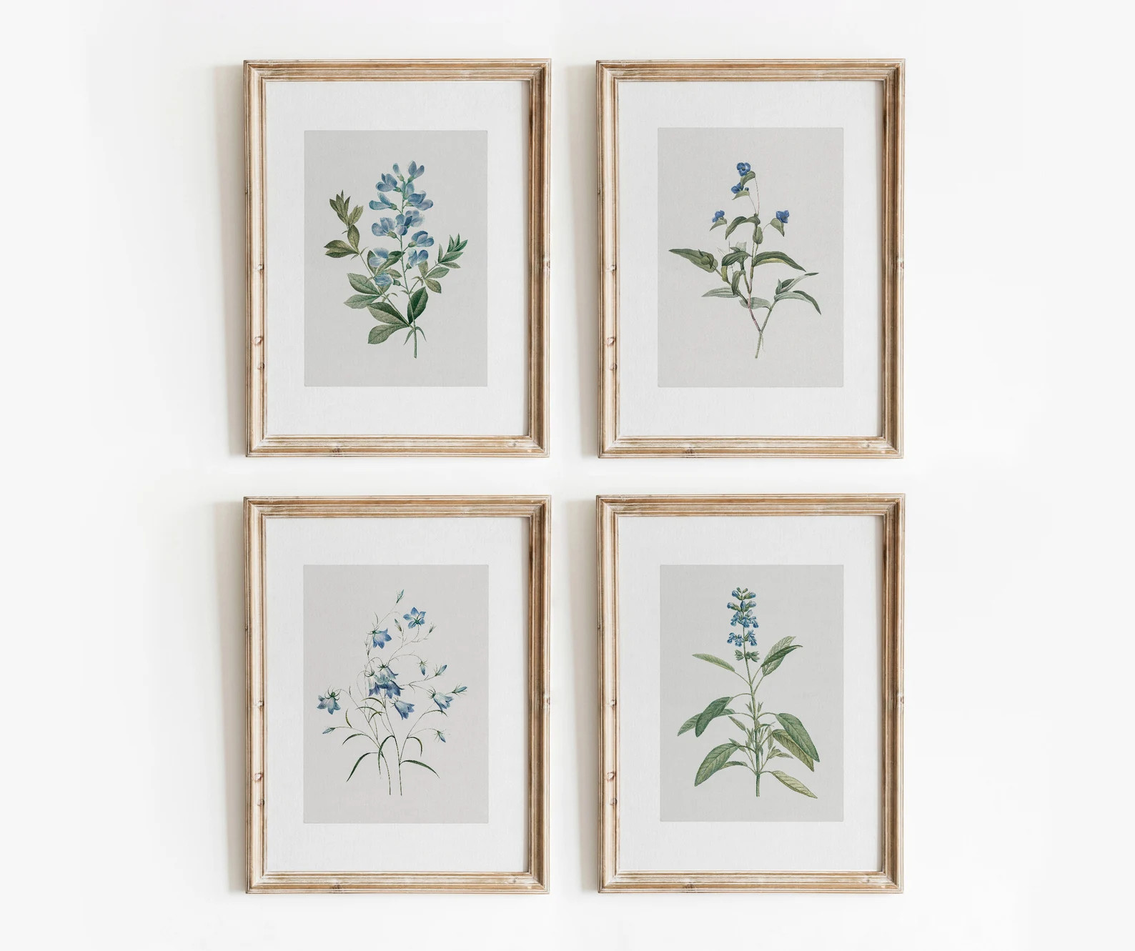 Blue Botanical Set of 4 Vintage Floral Prints Minimal Watercolor Gallery Wall Art Digital Downloa... | Etsy (US)