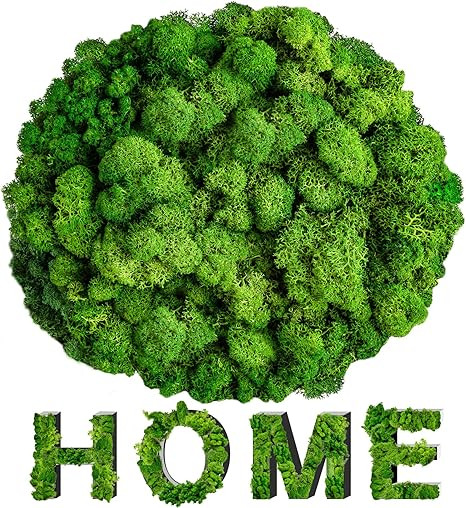 Sukh Preserved Moss - 3.5 OZ Moss for Crafts Faux Moss Decor Natural Green Moss DIY Art Wall Flor... | Amazon (US)