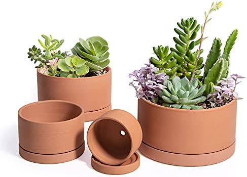 Set of 4 Terracotta Shallow Planter Pots for Succulent, 3 Inch 4 Inch 5 Inch 6 Inch, Small Flower Pl | Amazon (US)