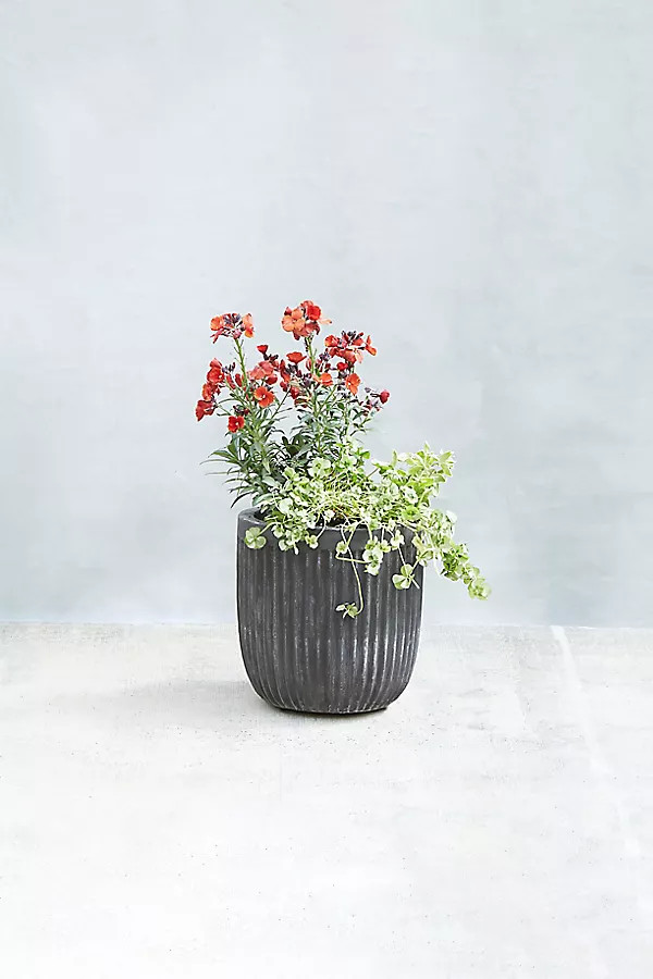 Fiber Concrete Barrel Pot, 9" | Terrain