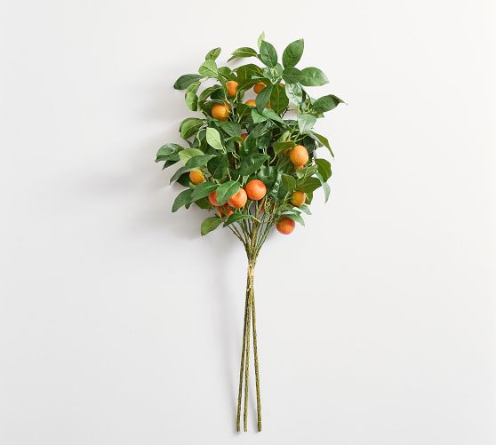 Faux Orange Branch Bundle | Pottery Barn (US)