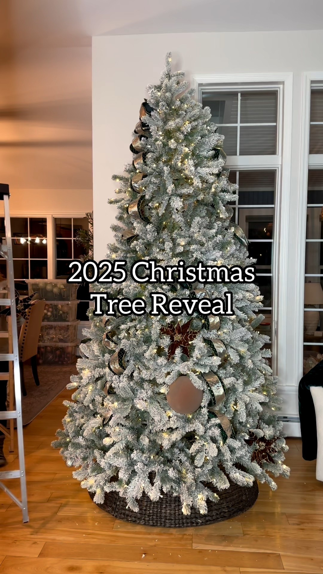 2025 Christmas tree ! 

#LTKHoliday #LTKStyleTip #LTKHome