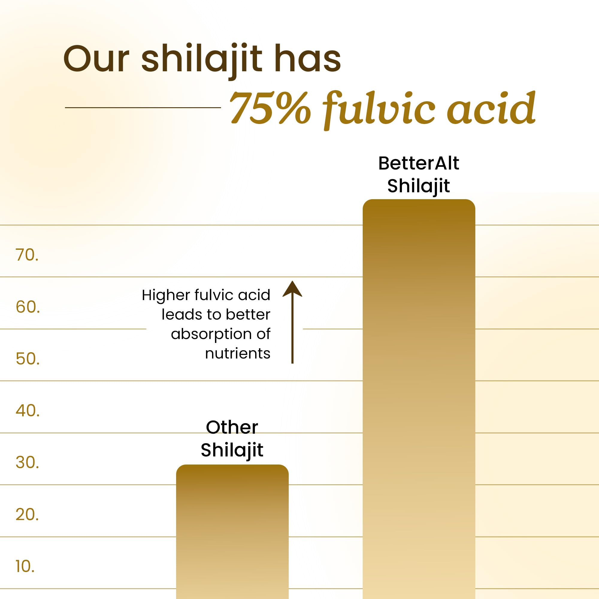 Better Alt Pure Himalayan Shilajit Resin Pack of 1 High Potency Gold Grade 75 Servings for Energy... | Amazon (US)