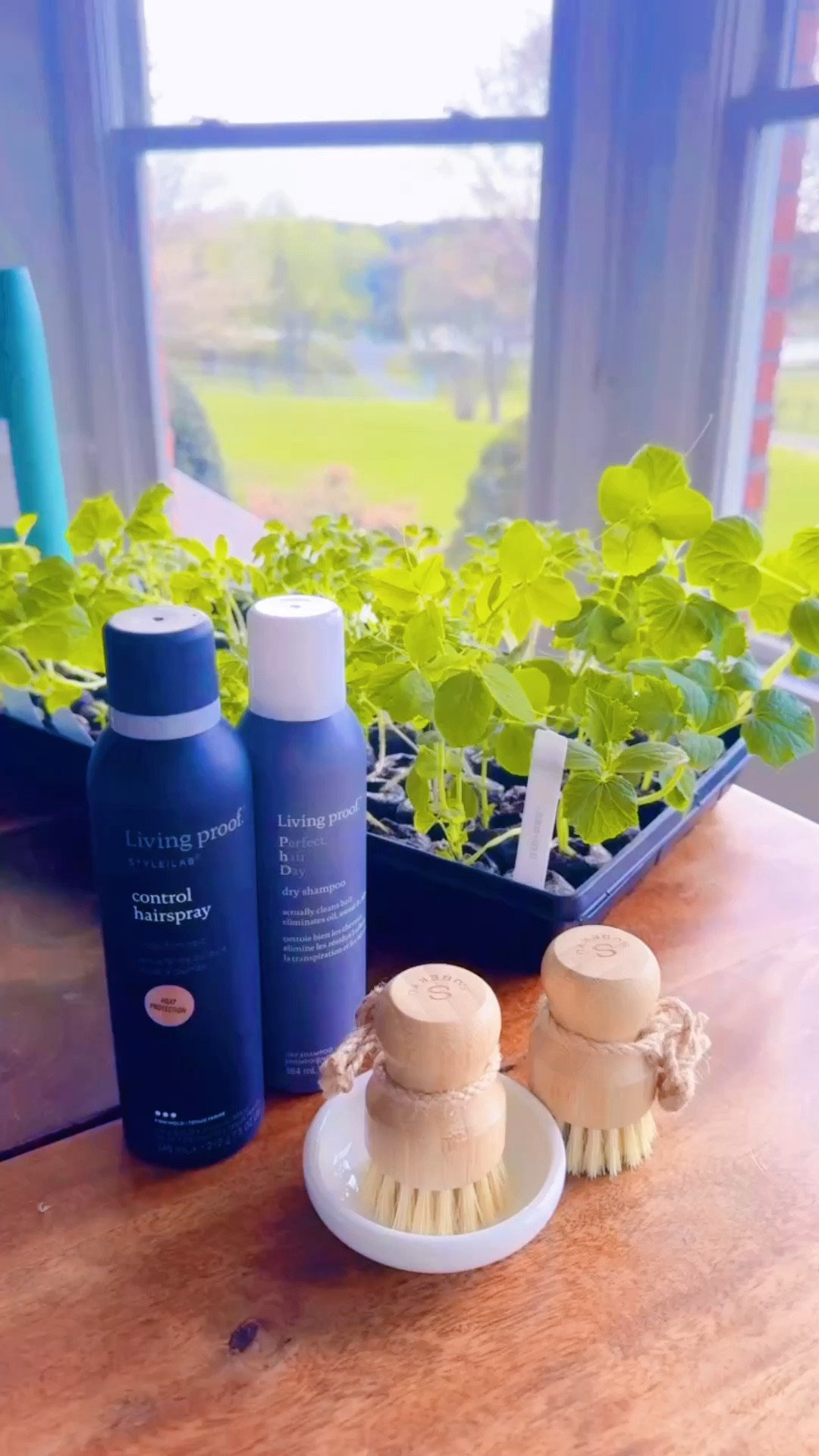 Had some “happy mail” 📮 come in with a restock of some of my favorite hair care products 🧴 anddd found the cutest little bamboo 🪵 scrub brush for the kitchen sink!! 🍽️ Linked them all over on my LTKit shop!! 🔗 