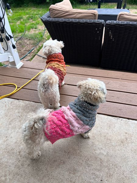 Dog sweaters. My dogs are 13-15 pounds and wearing M. 

Dog outfits. Dog coats. Dog sweater. Christmas gift idea.

#LTKfindsunder50 #LTKSeasonal #LTKGiftGuide