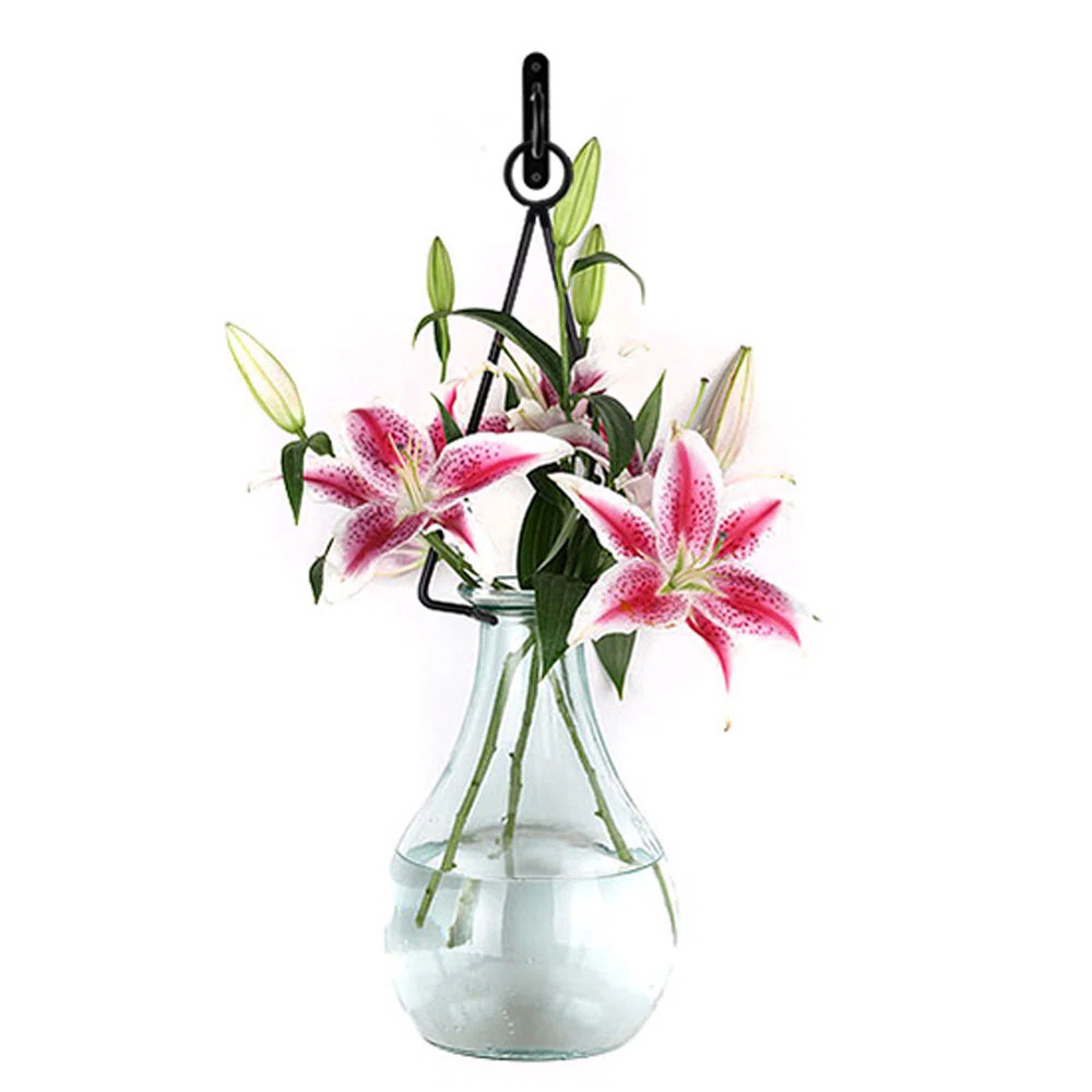 Couronne Glass Wall Vase | Wayfair | Wayfair North America