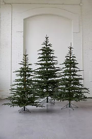 Faux Noble Fir | Anthropologie (US)