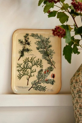 Printed Archival Tray, Small | Terrain