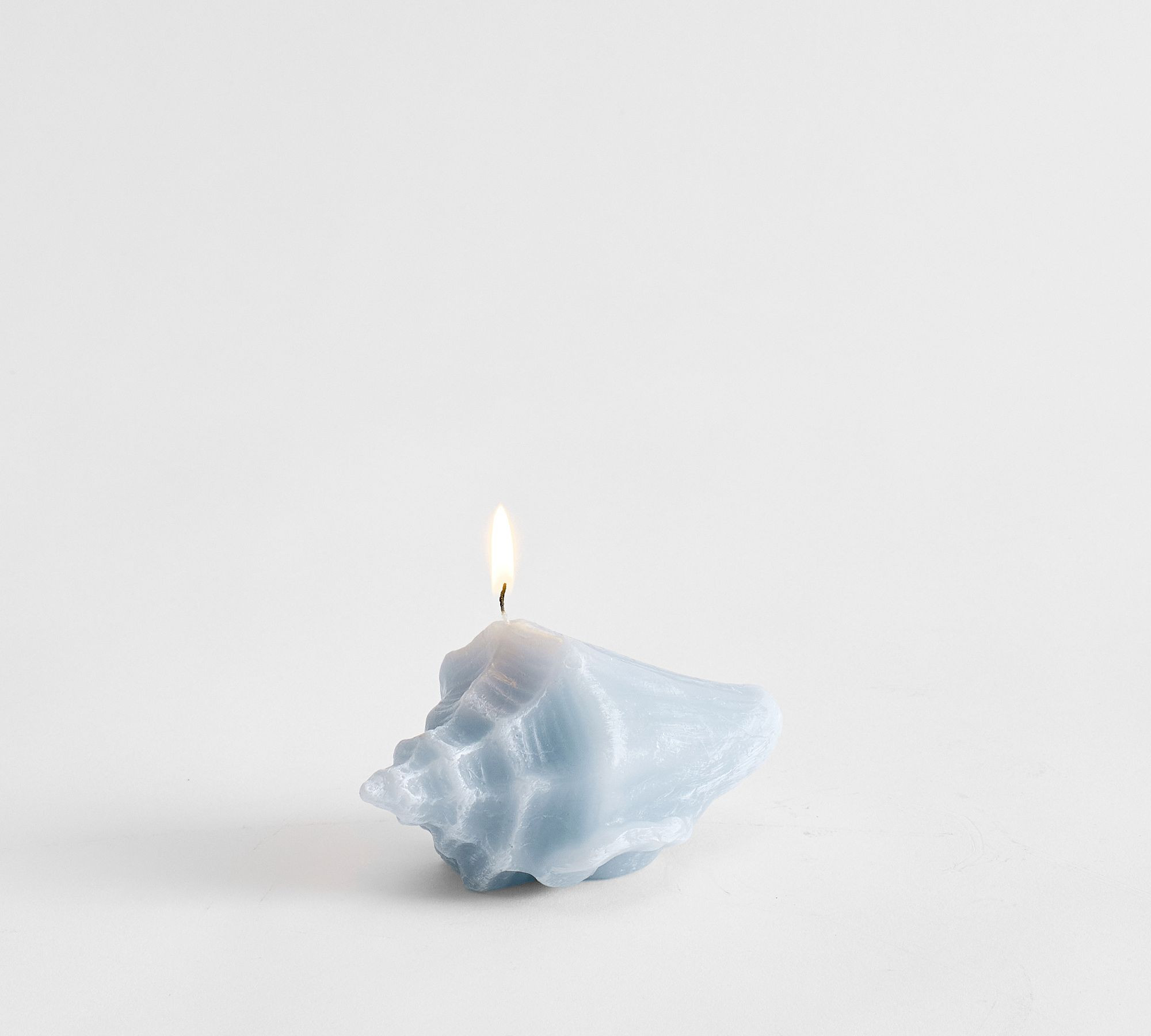 Conch Shell Candle | Pottery Barn (US)