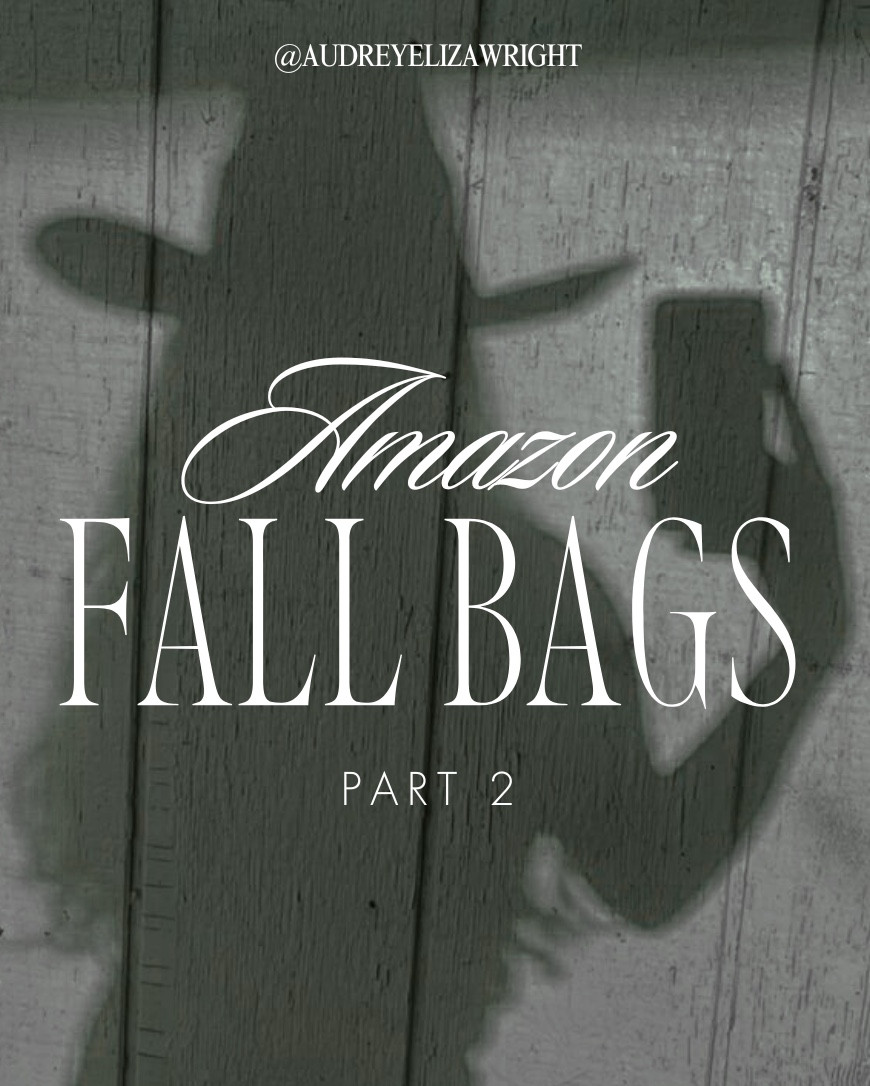 FALL AMAZON BAGS PT. 2 ✨🍂

#LTKStyleTip #LTKFindsUnder100 #LTKItBag
