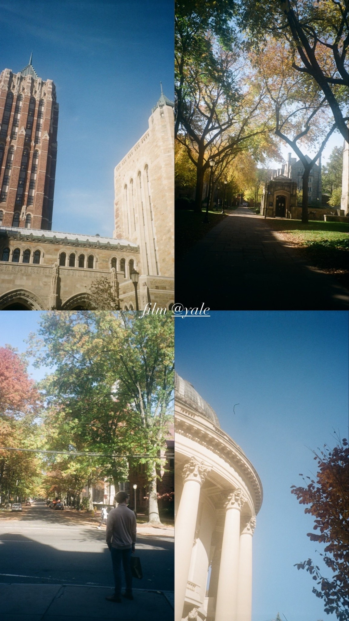 film @yale