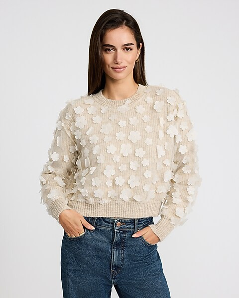 Mesh Floral Embellished Crew Neck Sweater | Express