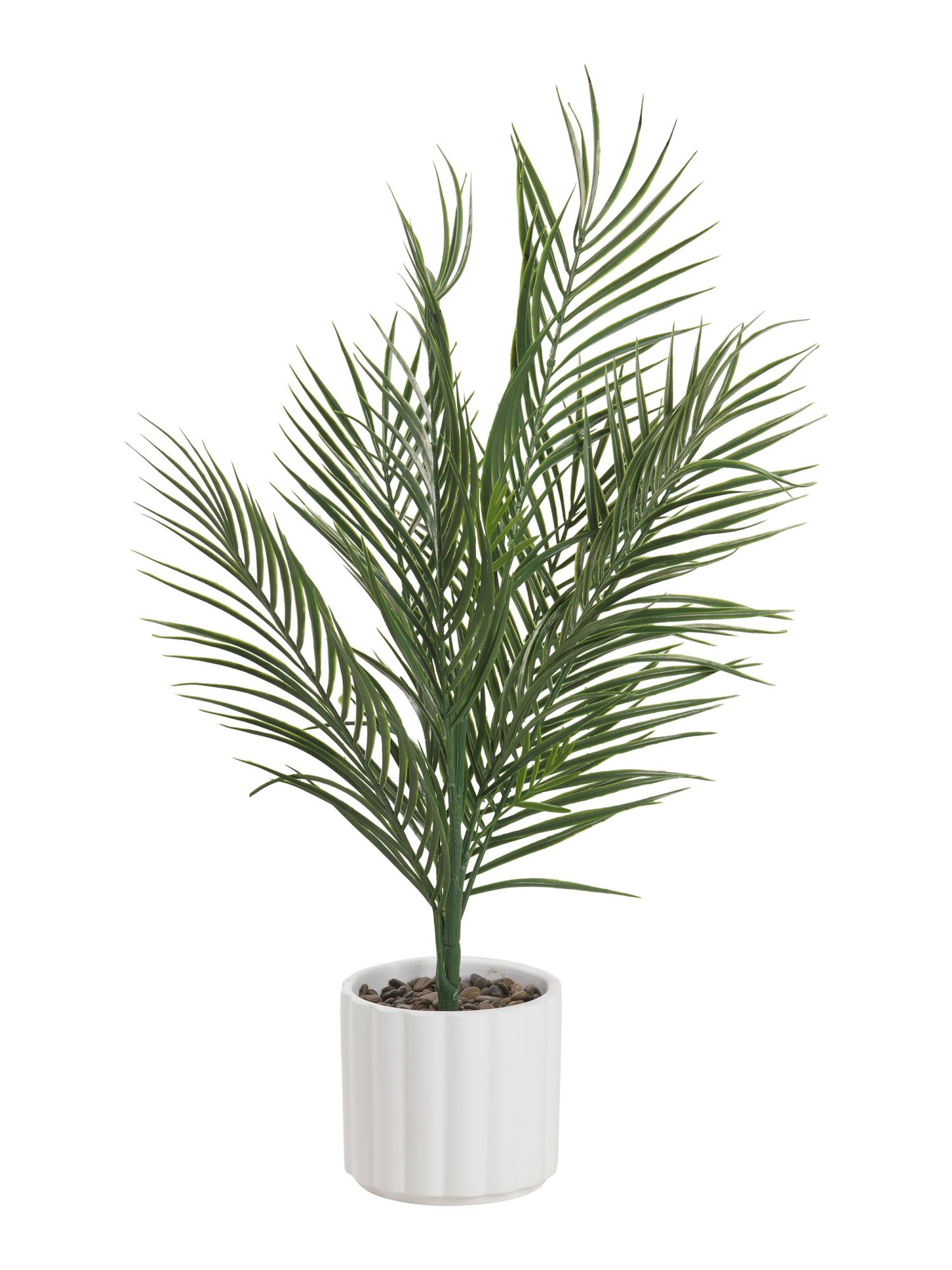 26in Areca Palm In Column Pot | TJ Maxx