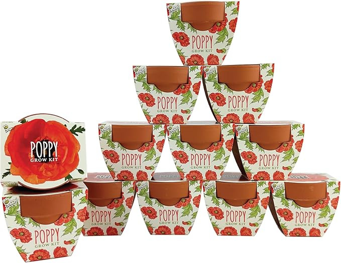 Buzzy Seeds Terracotta Mini Grow Pots | Herb, Plant, Flower Starter Kit for Kids & Adults | Assor... | Amazon (US)