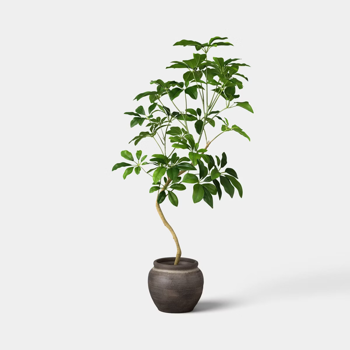 39" Spade Leaf Tree - Threshold™ | Target