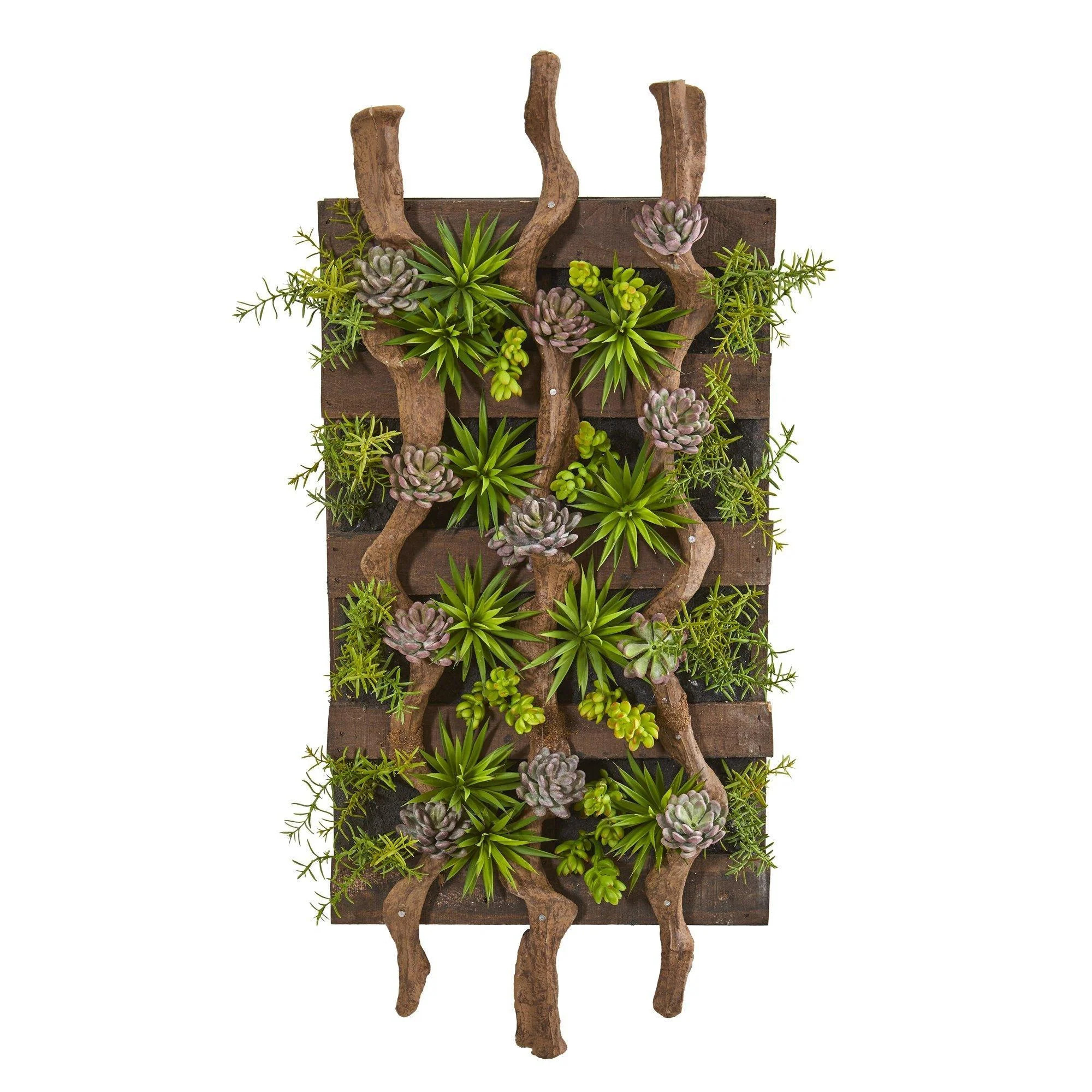 41” x 19” Mixed Succulent Artificial Living Wall | Nearly Natural