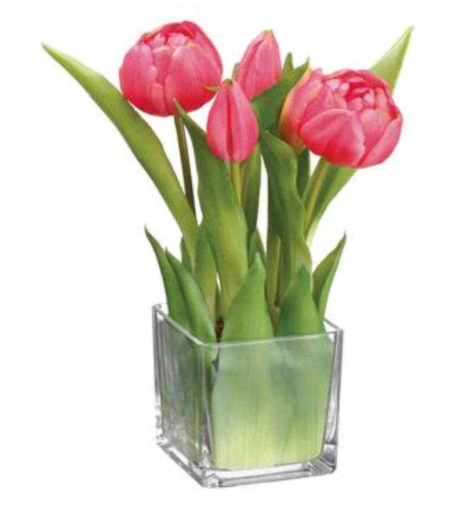 Pink Tulips in Glass | House of Blum