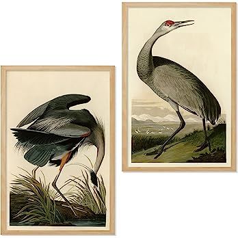 Ujoyful Vintage Heron and Stork Birds Print | Set of 2 Wild Bird Wall Art | Freshwater Wading Bir... | Amazon (US)
