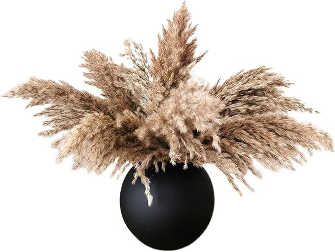 Amazon.com: Pampas-Grass Pompous Dried Pampass Plants Fluffy Pompas Grasses 30 Stems Small Pompus... | Amazon (US)