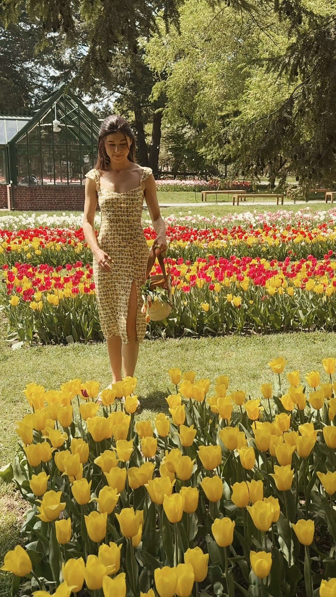 #LTKSeasonal #LTKPetite #LTKTravel