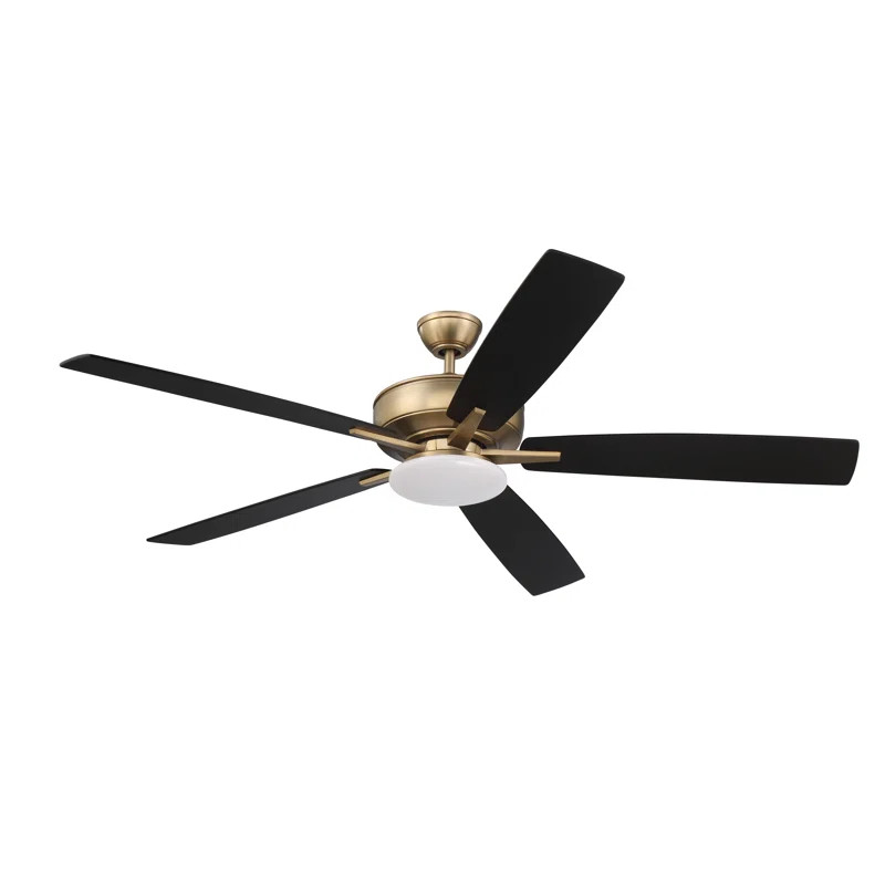Alif 60'' Ceiling Fan with LED Lights | Wayfair North America