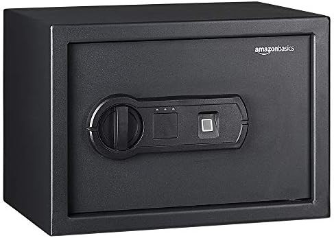 Amazon Basics Steel Security Safe with Programmable Biometric Fingerprint Lock - Secure Cash, Jew... | Amazon (US)