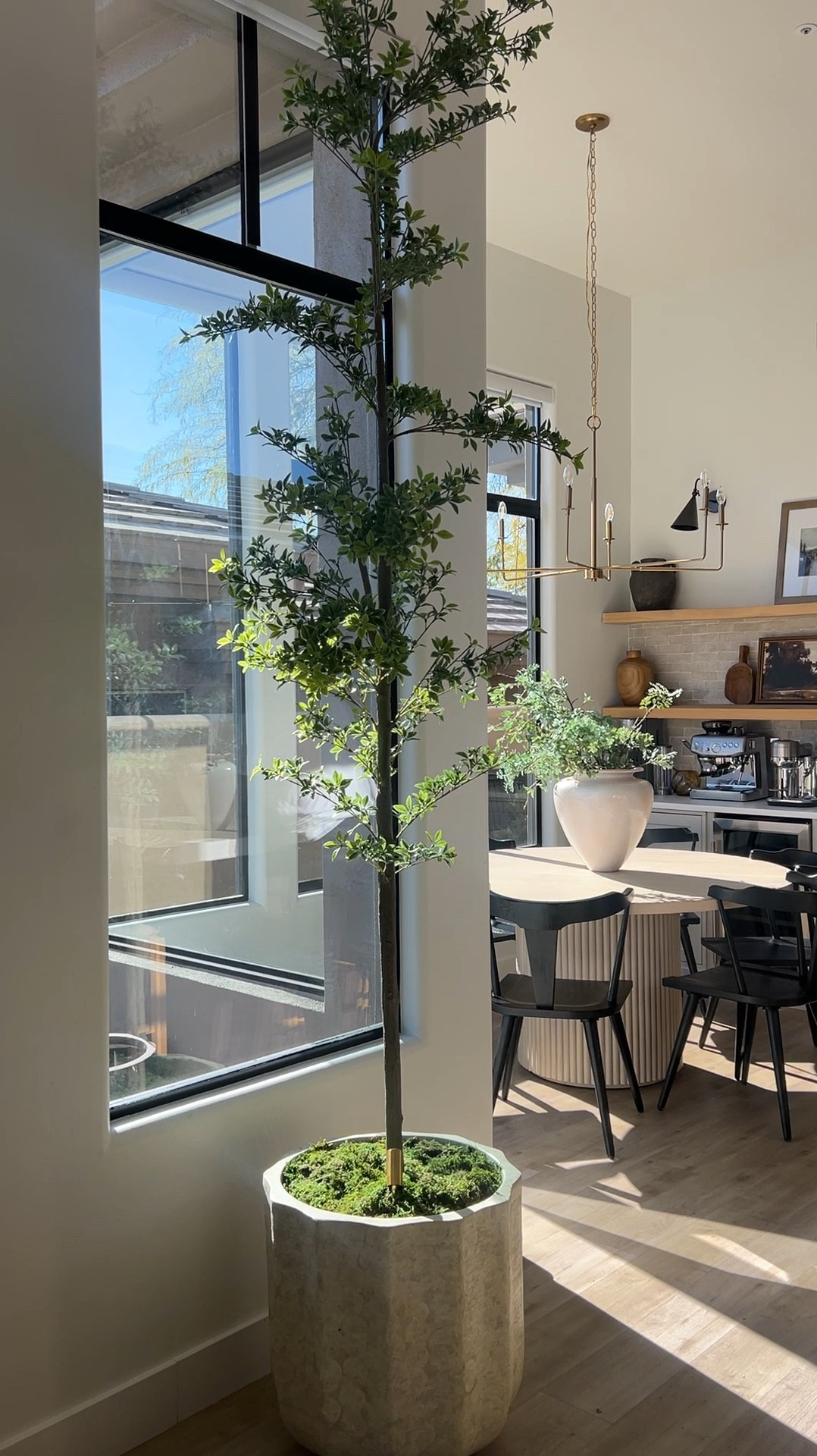 The prettiest black olive tree 

#LTKHome