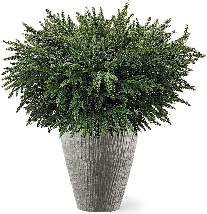 12Pcs Norfolk Pine Branch, 24 Inch Artificial Christmas Real Touch Pine Branches for Home Indoor ... | Amazon (CA)