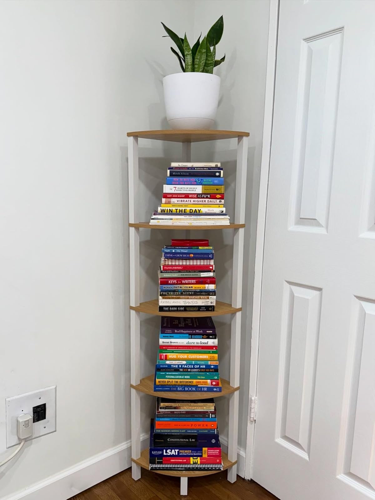 AMAZON BOOKSHELF FIND ! | Amazon (US)