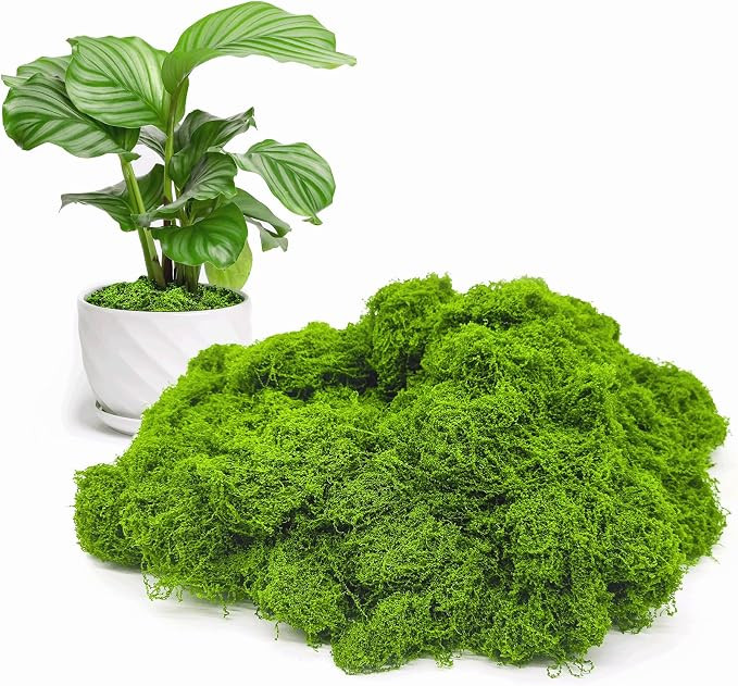 Fake Green Moss for Potted Plants Indoor, 10.6oz Artificial Moss for Crafts, Faux Moss Decor for ... | Amazon (US)