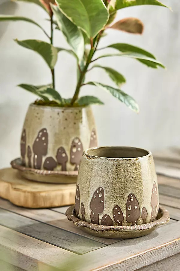Mushroom Ceramic Pot + Saucer Set | Anthropologie (US)
