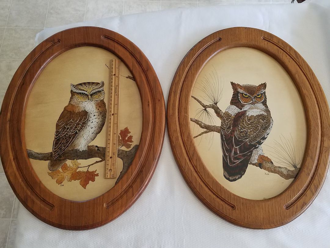 2 Vintage 20 Oval Wooden Framed Horned Night Owl Prints Signed ANN Wall Peel Vinyl Decal Cutout H... | Etsy (US)