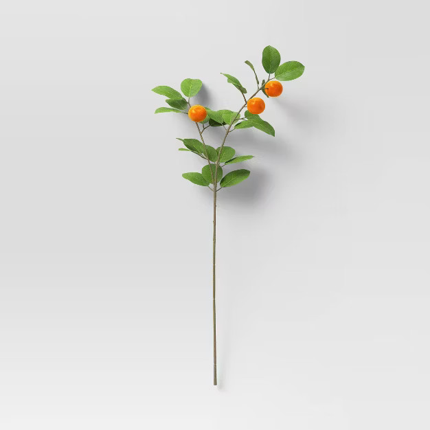 Citrus Stem - Threshold™ | Target