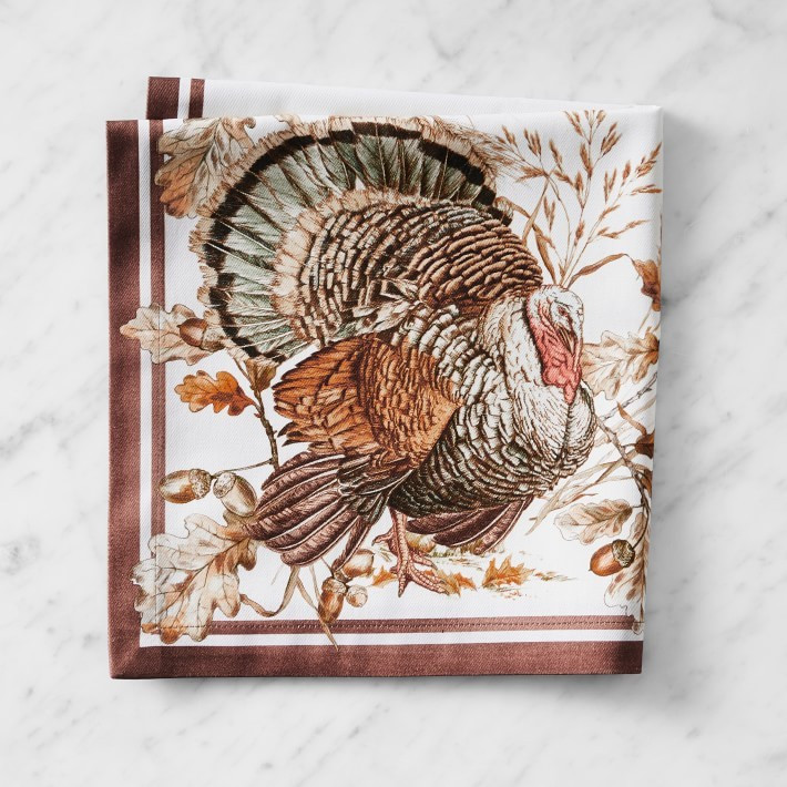 Autumn Plymouth Turkey Napkins, Set of 4 | Williams-Sonoma