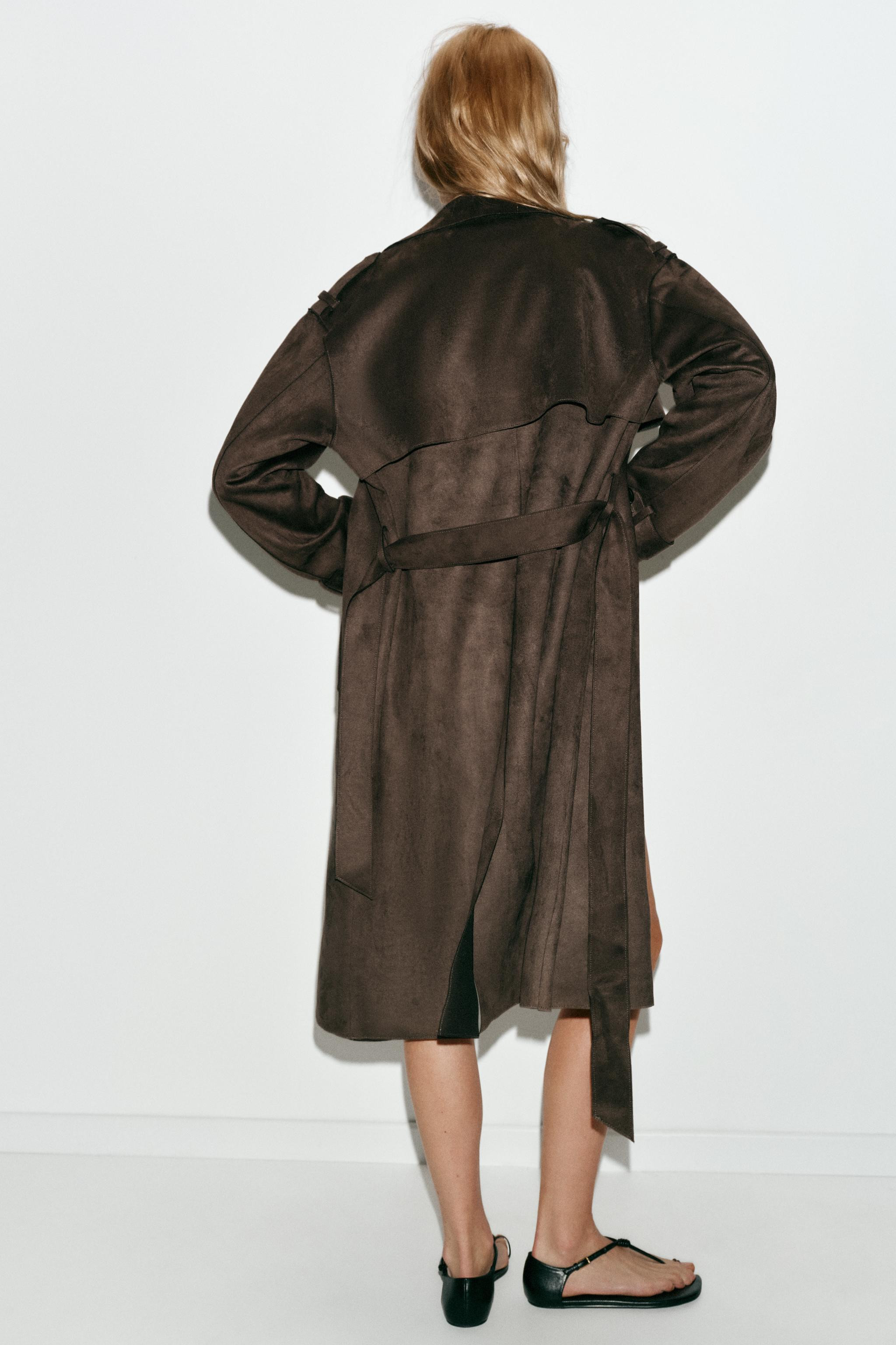 COTTON SHORT SLEEVE T-SHIRT | Zara UK