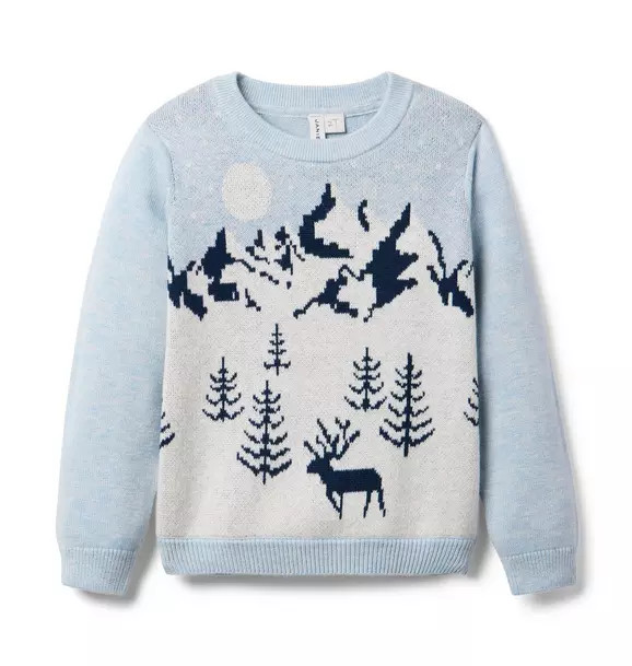 Snow Scenic Sweater | Janie and Jack