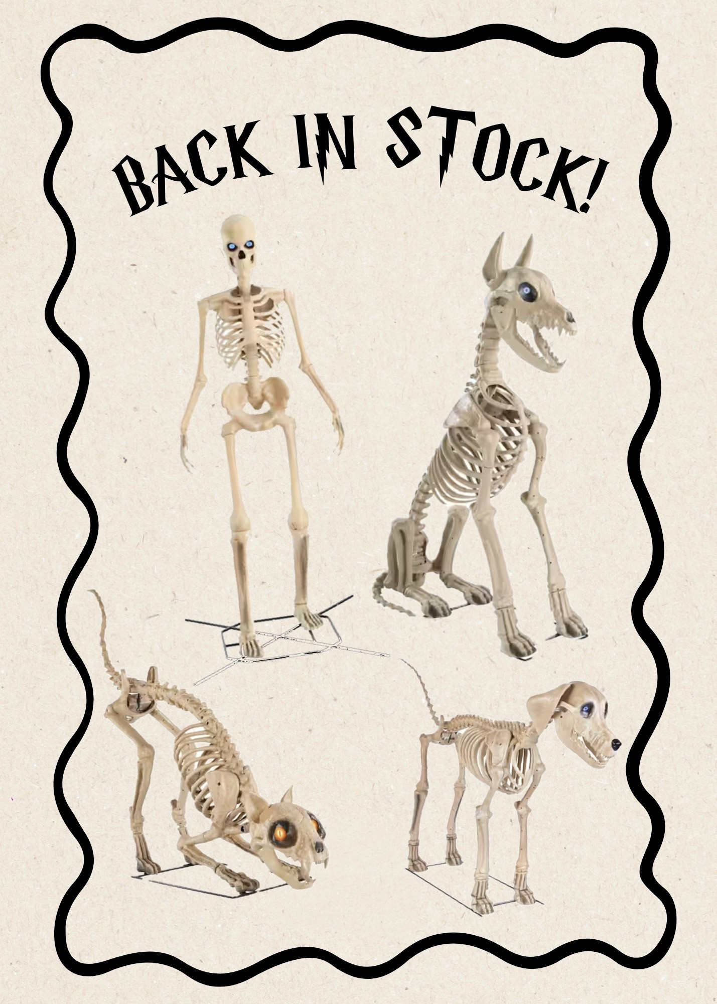 The 12 ft skelly is back for Halloween and fall time! I looove these 🤪 Fall finds + Halloween home finds

#LTKHome #LTKSaleAlert #LTKSeasonal